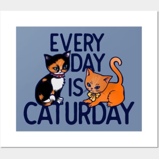 Every day is caturday Posters and Art